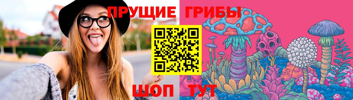 Псилоцибиновые грибы Cubensis Нижнеудинск