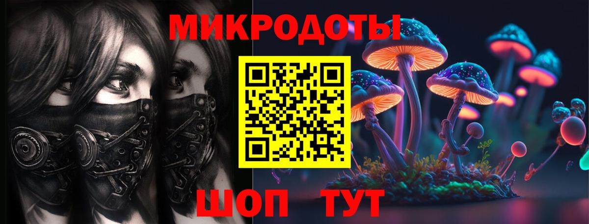 Нижнеудинск  Псилоцибиновые грибы мухоморы  Вход с VPN  Псилоцибиновые грибы Psilocybe 